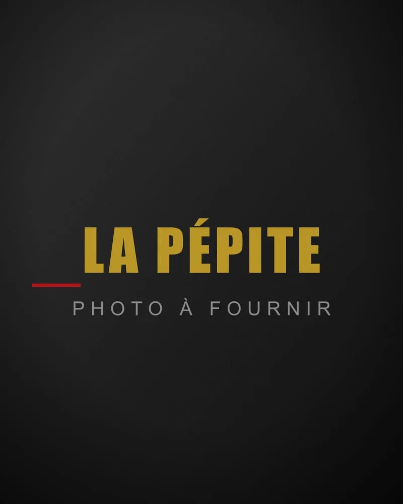 La Pépite (TODO-PRÉNOM TODO-NOM)