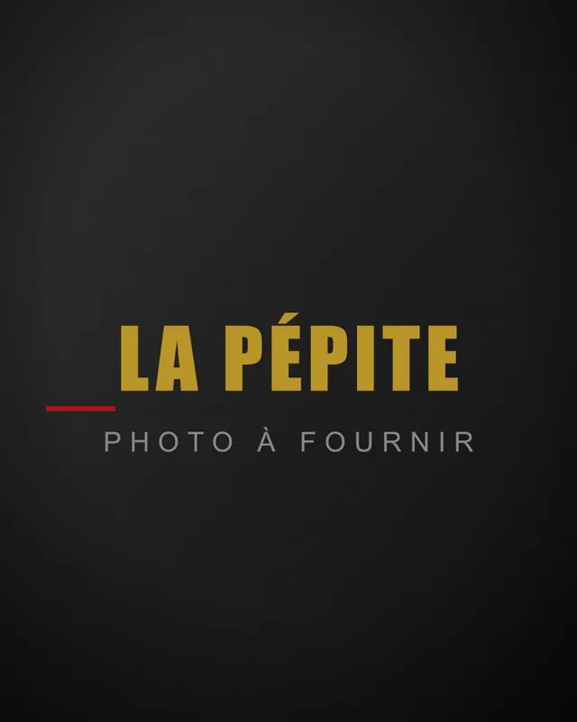 La Pépite (TODO-PRÉNOM TODO-NOM)