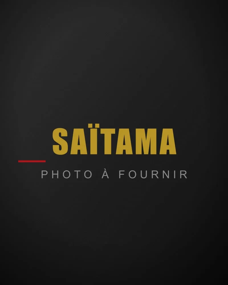 Saïtama (Abdellah Belaroui)