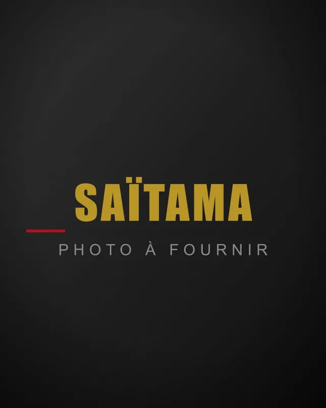 Saïtama (Abdellah Belaroui)